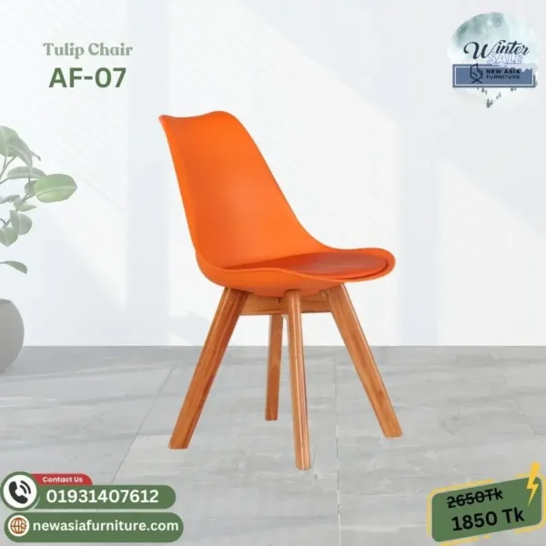 Modern HomeofficeRestaurant DEER Chair Tulip Chair AF-07 (5)