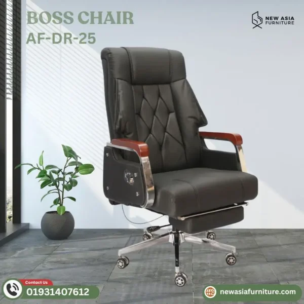 Premium Quality Ergonomic Quality Armchair Boss Sleeping Chair AF-DR-25